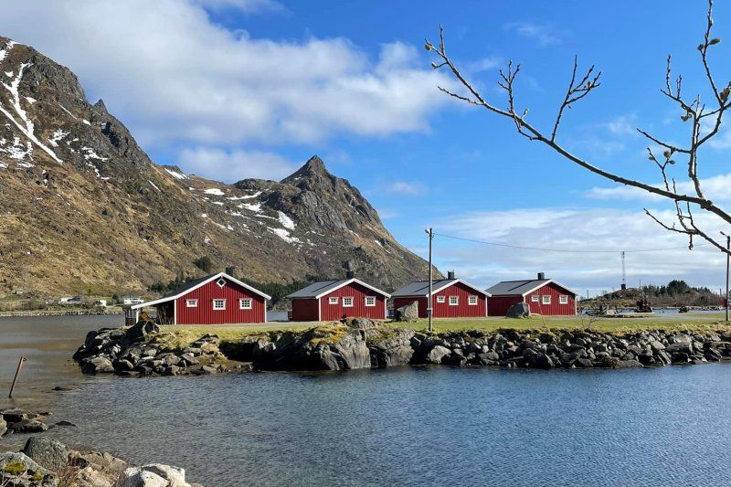 Brustranda Fjordcamping grote hytter