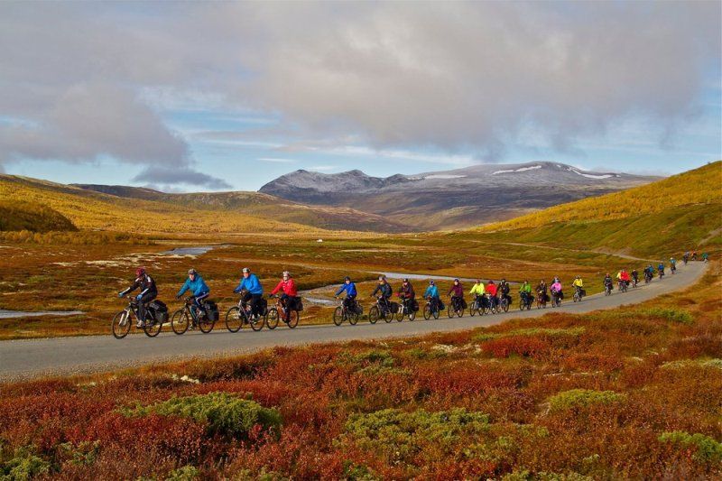 Fjellsyn Camping Dalholen fietsen