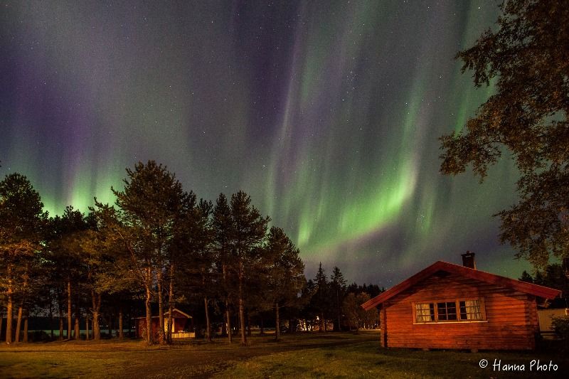 Rognan Fjordcamp Hytter en Noorderlicht