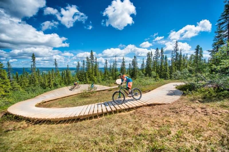 Trysilelva Camping Trysil mountainbiken