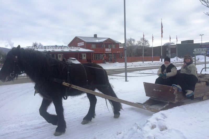 Tynset Rom og Camping wintersport